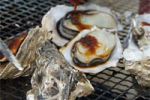 第4回「豊前海一粒かき」のかき焼き祭り